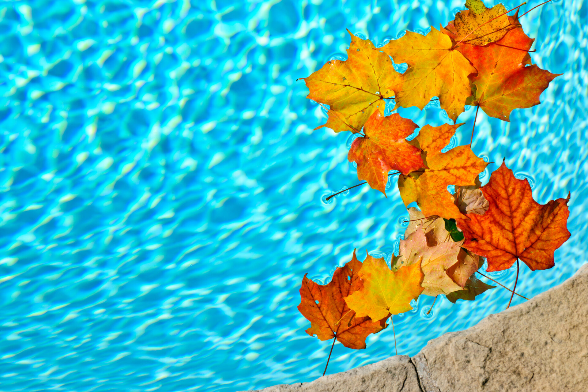 A picture of Fall Pool Maintenance in Fort Worth - 7 Texas-Sized Tips with Aqua Workz Pool
